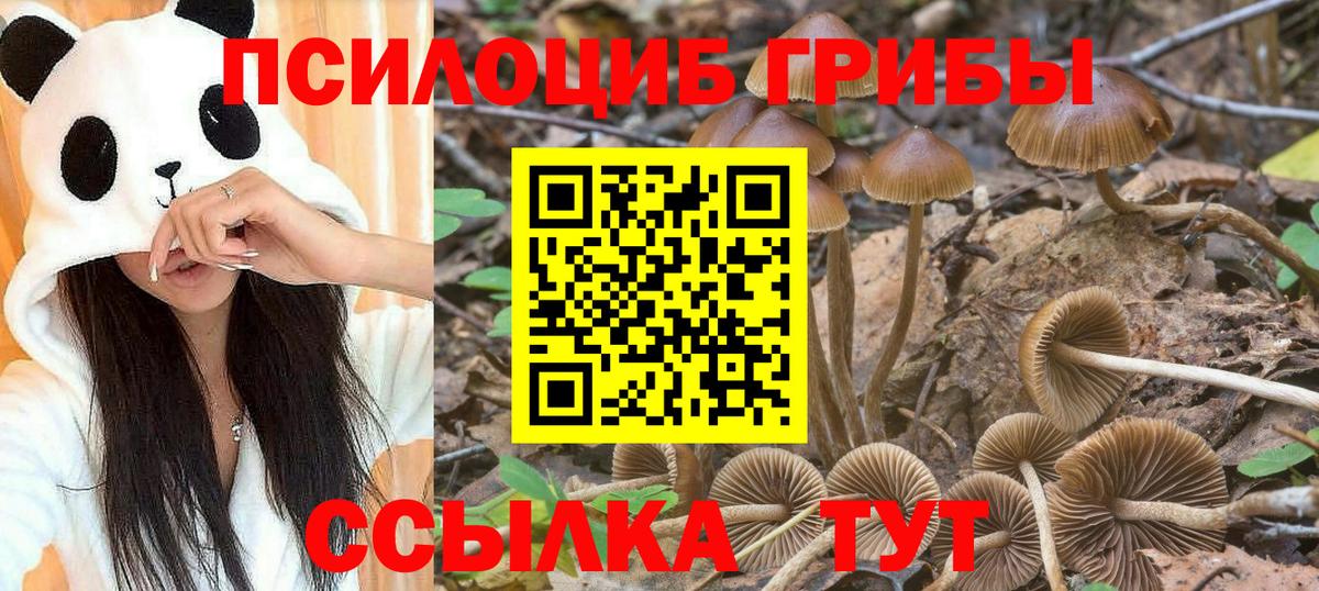 Псилоцибиновые грибы GOLDEN TEACHER Людиново