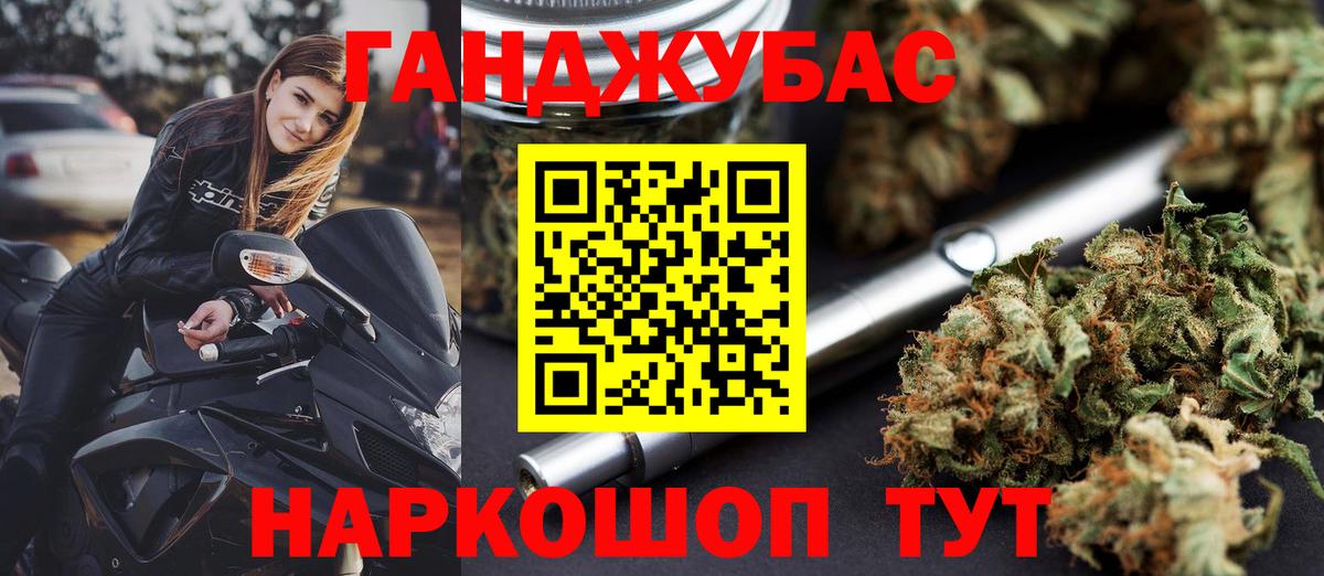 Конопля сатива Людиново